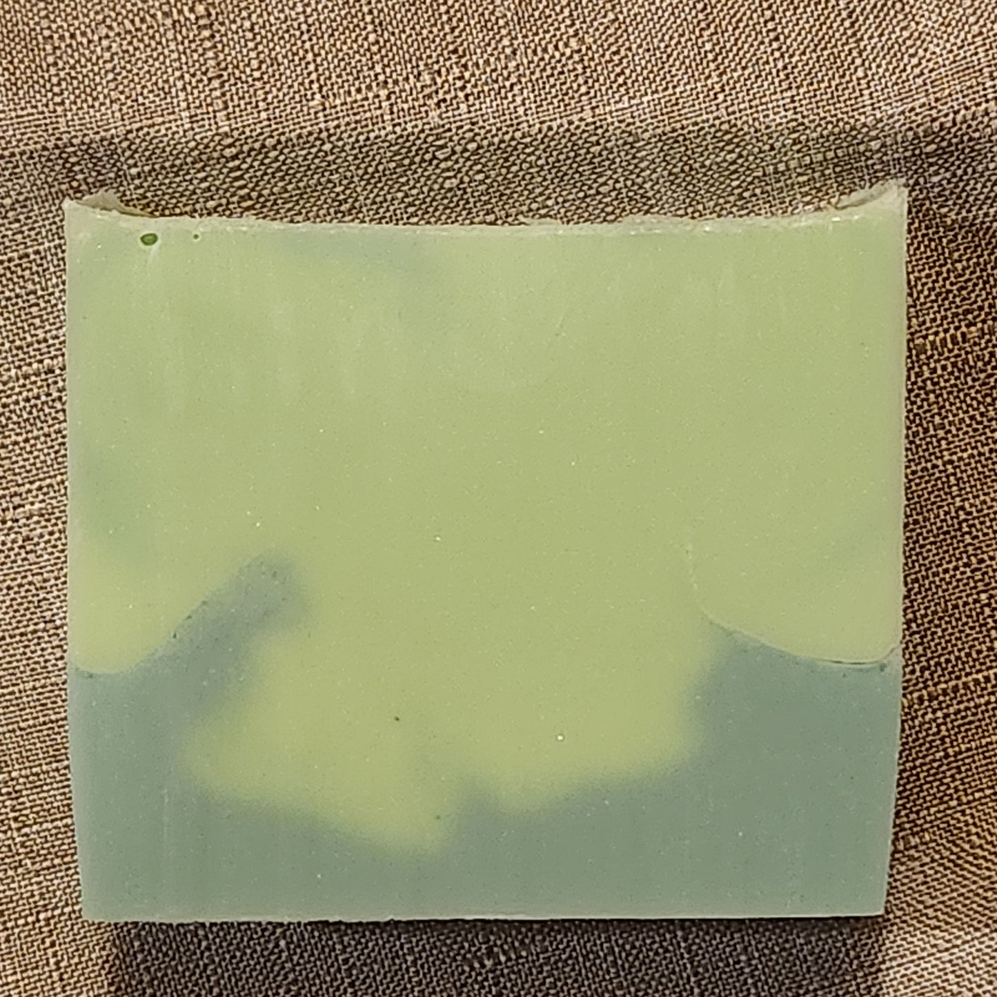 Handmade Plant Based Soap- bWell